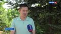 В трех районах провели обработку лесов от шелкопряда