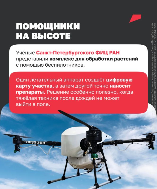 Как нейросети помогают растить пшеницу Как нейросети помогают растить пшеницу