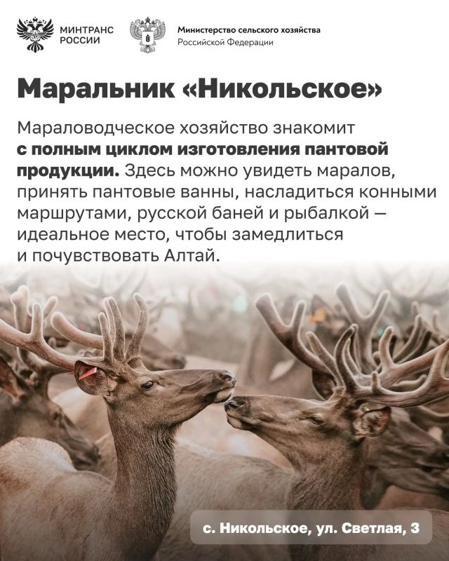 Едете в Алтайский край? Добавьте эти места в свой маршрут Едете в Алтайский край? Добавьте эти места в свой маршрут