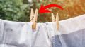 Устраняем неприятные запахи в доме легко и просто: секреты ароматизации с прищепками