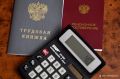 Самую прибыльную подработку пенсионеры в России могут найти в Республике Алтай - 63 827 тыс рублей в месяц, выяснили для РИА Новости эксперты "Авито Подработки"