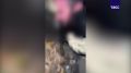 ���������� ����������� � 15 ����� ������� ������� �� ������� ������� ����� � �������� �� ������� ������������� ���������������� �����������, �������� ���� � ���� ������ �� ���������� ����
