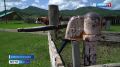 В Шебалинском районе обновляют центральный водопровод в селе Верх-Черга в рамках нацпроекта «Инфраструктура для жизни»