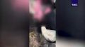 ��������� �������: ������������� ������������ ����������� ����������� � 15 ����� ������� ������� �� ������� ������� ����� � �������� �� ������� ������������� ���������������� �����������, �������� � ��� ������ �� ����������...