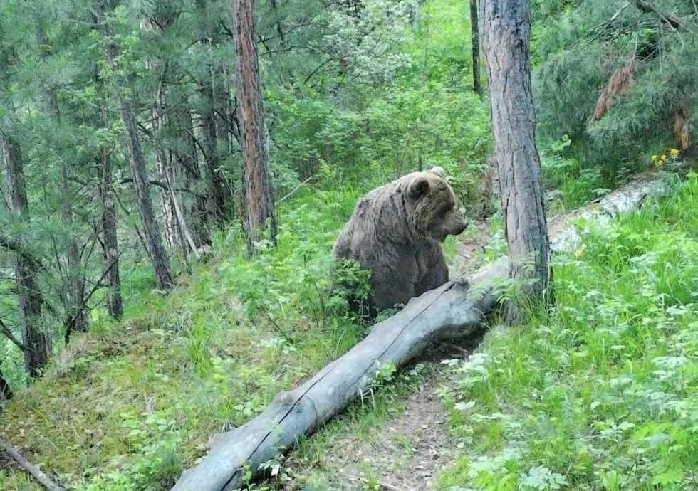 Кордон Беле закрыт для туристов