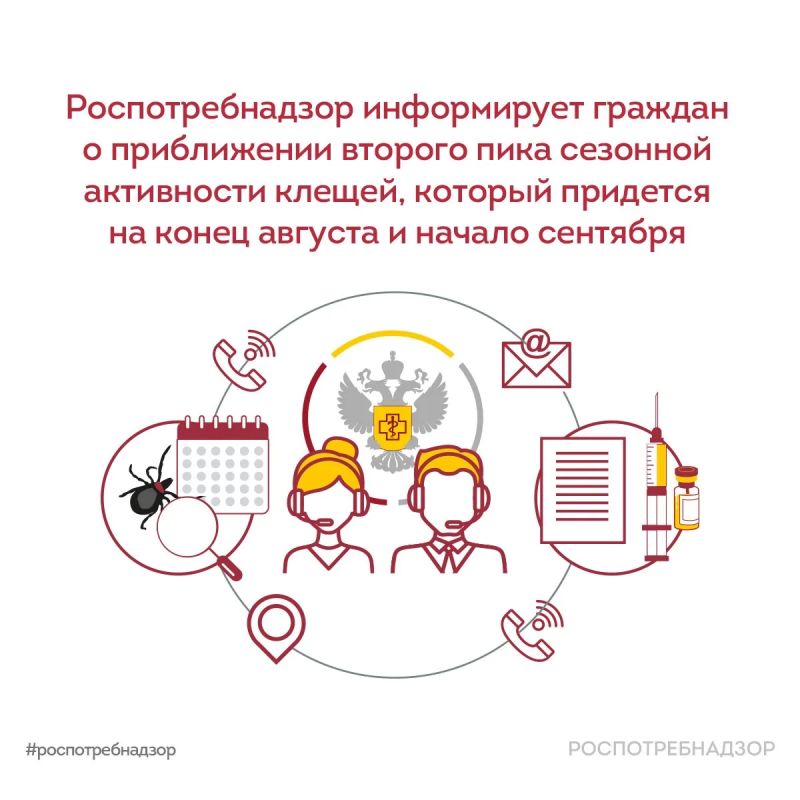Роспотребнадзор информирует: второй пик активности клещей ожидается в конце августа — начале сентября