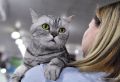 В России появился первый pet-friendly санаторий