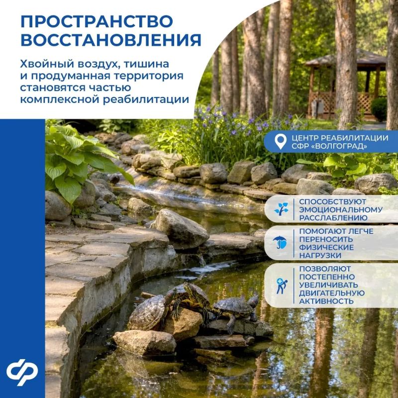 Как сегодня выглядит современная реабилитация? Как сегодня выглядит современная реабилитация?