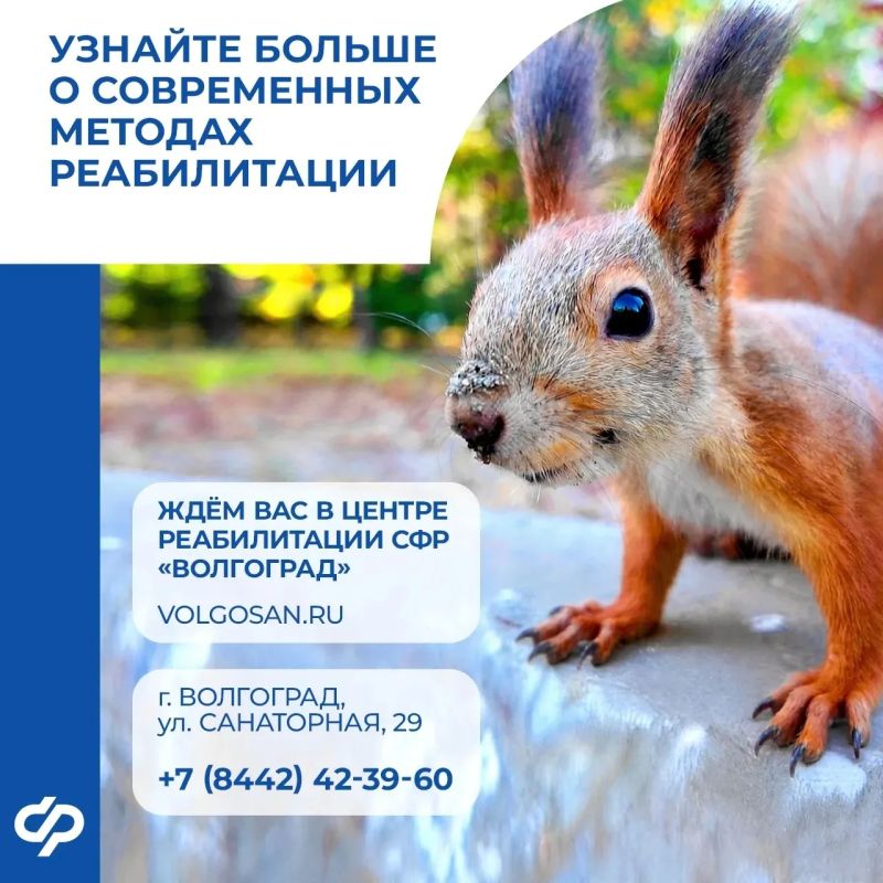 Как сегодня выглядит современная реабилитация? Как сегодня выглядит современная реабилитация?