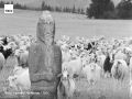 #архив_ТАСС_Сибирь. Древнетюркская каменная баба "Кезер"