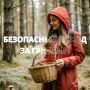 Грибникам на заметку: сезон открыт!
