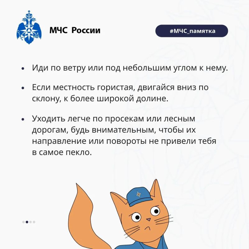Что делать если ты попал в лесной пожар? Что делать если ты попал в лесной пожар?