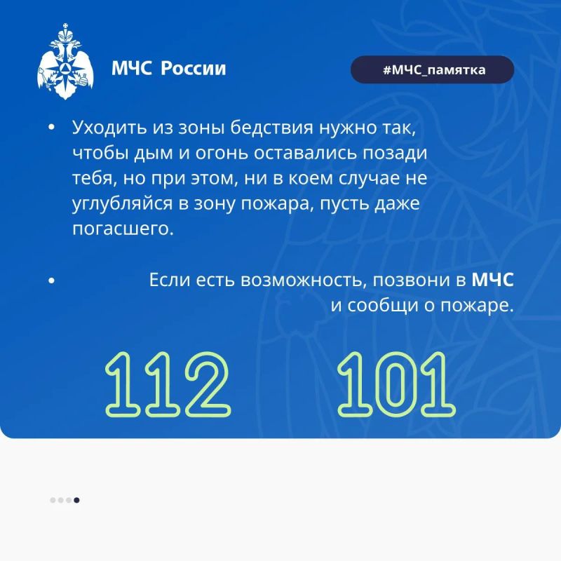 Что делать если ты попал в лесной пожар? Что делать если ты попал в лесной пожар?