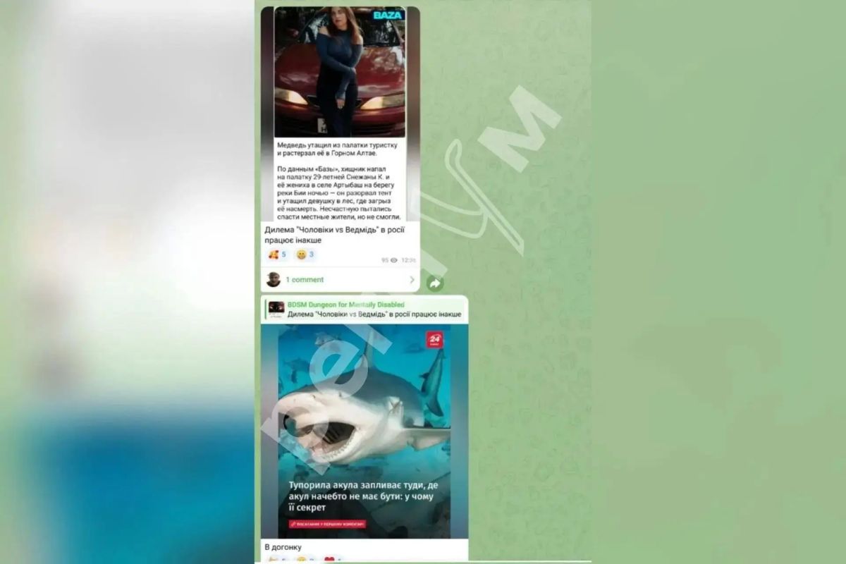Марина Ахмедова: Украинские радикалы, конечно, невероятные люди Марина Ахмедова: Украинские радикалы, конечно, невероятные люди