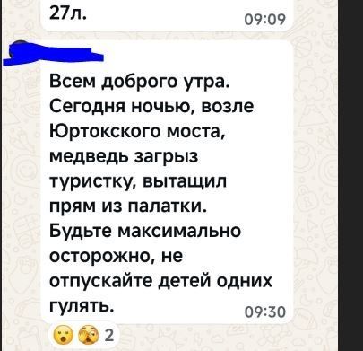 За день до трагедии с туристкой медведь выбил забор и проник на соседнюю турбазу на Алтае За день до трагедии с туристкой медведь выбил забор и проник на соседнюю турбазу на Алтае
