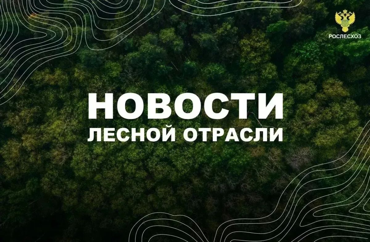 Мой Алтай: Иван Советников: леса — наш щит в борьбе с опустыниванием