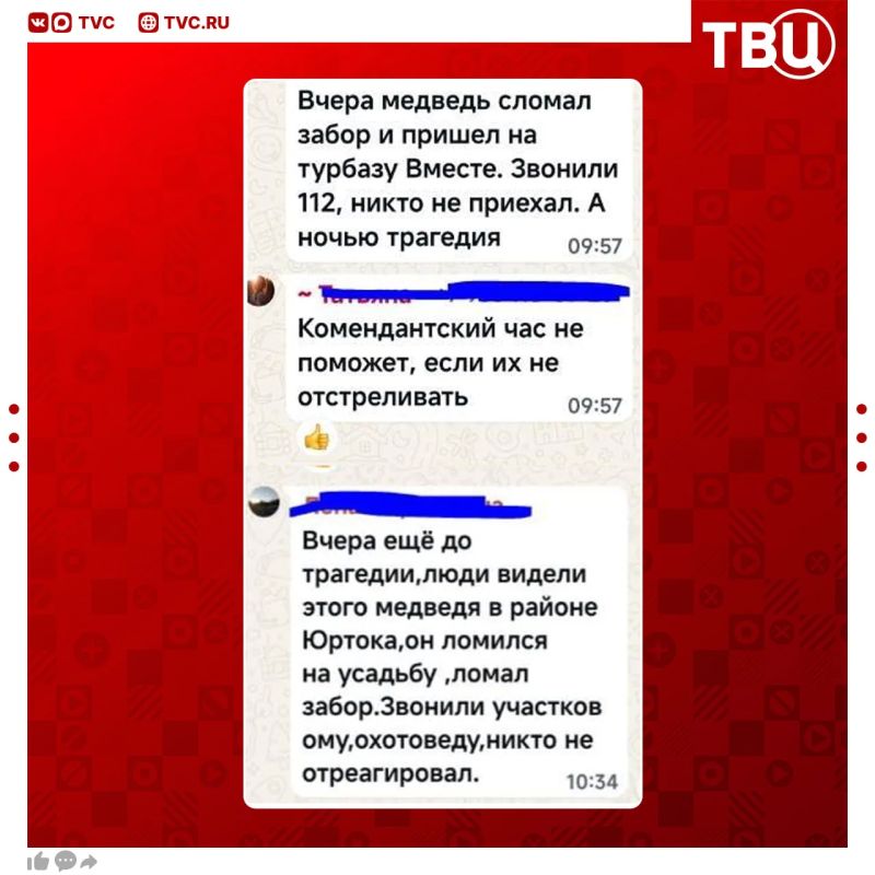 Медведь попал на соседнюю турбазу за день до трагедии в Горном Алтае Медведь попал на соседнюю турбазу за день до трагедии в Горном Алтае