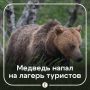 Медведь утащил россиянку из палатки и растерзал ее
