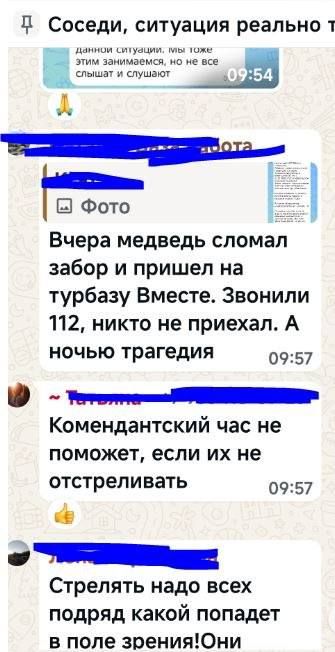 За день до трагедии с туристкой медведь выбил забор и проник на соседнюю турбазу на Алтае За день до трагедии с туристкой медведь выбил забор и проник на соседнюю турбазу на Алтае
