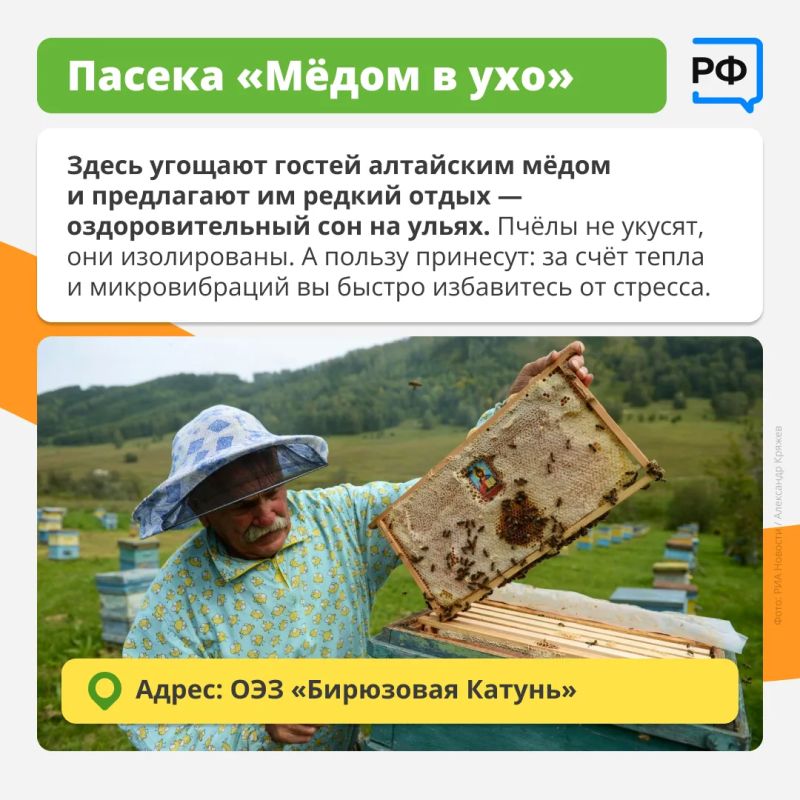 Живописный отпуск среди гор, зелёных лугов и бурных рек Алтая — отличный способ полностью перезагрузиться Живописный отпуск среди гор, зелёных лугов и бурных рек Алтая — отличный способ полностью перезагрузиться