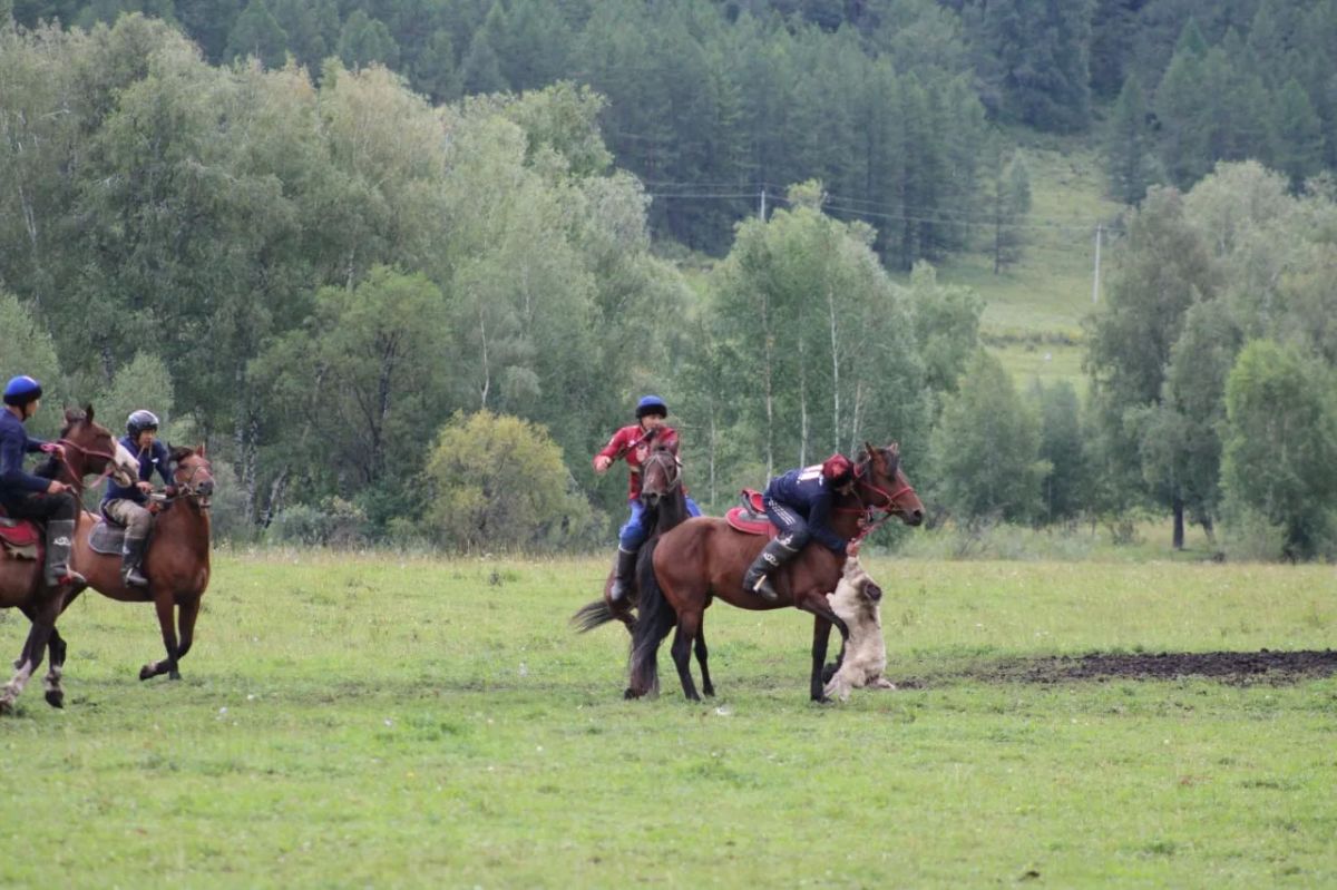 22 августа в Шебалино прошел открытый юниорский турнир по Кк-Бр, его посвятили 400-летию села Верх-Черга 22 августа в Шебалино прошел открытый юниорский турнир по Кк-Бр, его посвятили 400-летию села Верх-Черга