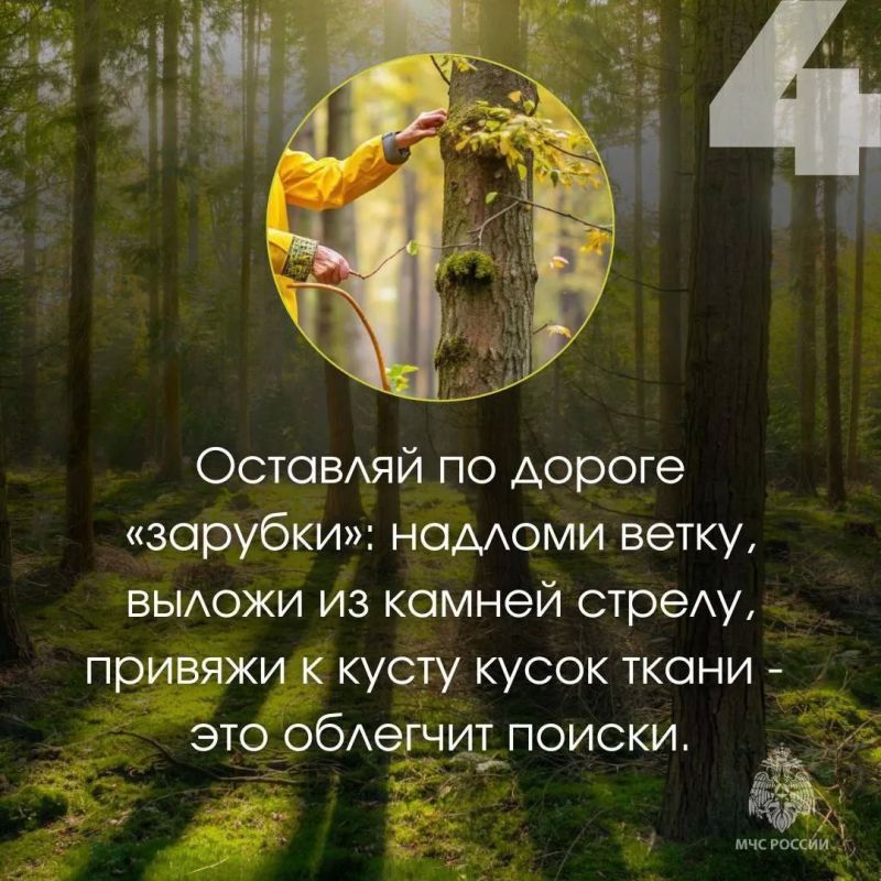 Будь ярким и заметным…. … это про то, как правильно собираться в лес: надень яркую одежду, возьми с собой воду, заряженный телефон, спички, сообщи маршрут родным Будь ярким и заметным…. … это про то, как правильно собираться в лес: надень яркую одежду, возьми с собой воду, заряженный телефон, спички, сообщи маршрут родным