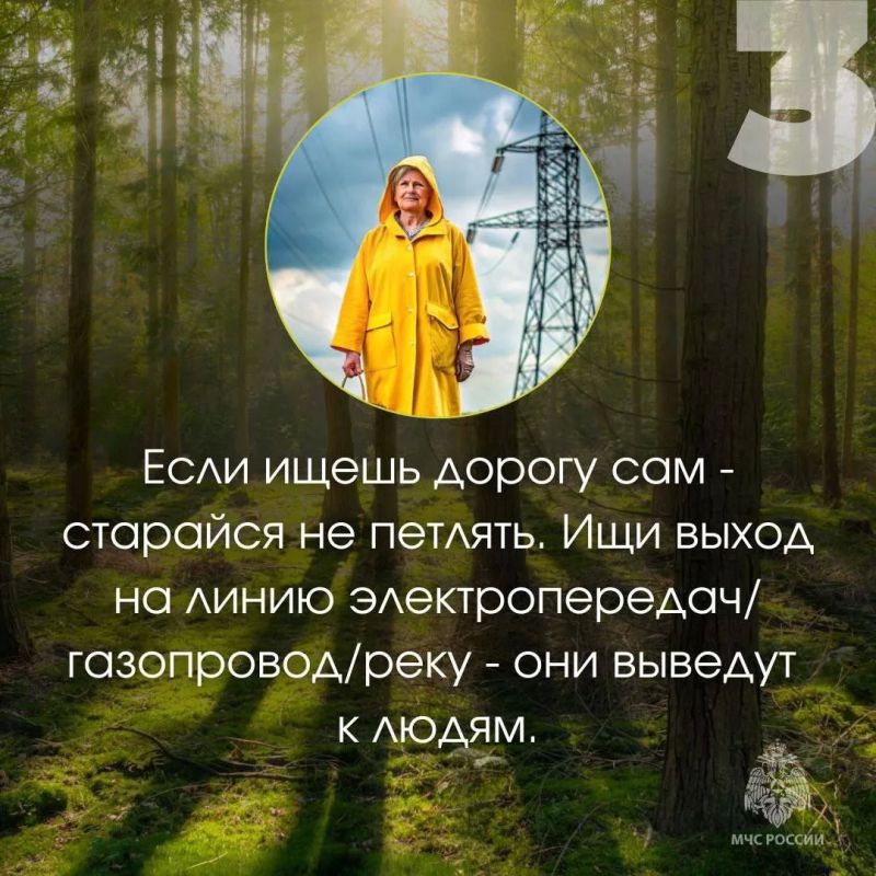 Будь ярким и заметным…. … это про то, как правильно собираться в лес: надень яркую одежду, возьми с собой воду, заряженный телефон, спички, сообщи маршрут родным Будь ярким и заметным…. … это про то, как правильно собираться в лес: надень яркую одежду, возьми с собой воду, заряженный телефон, спички, сообщи маршрут родным