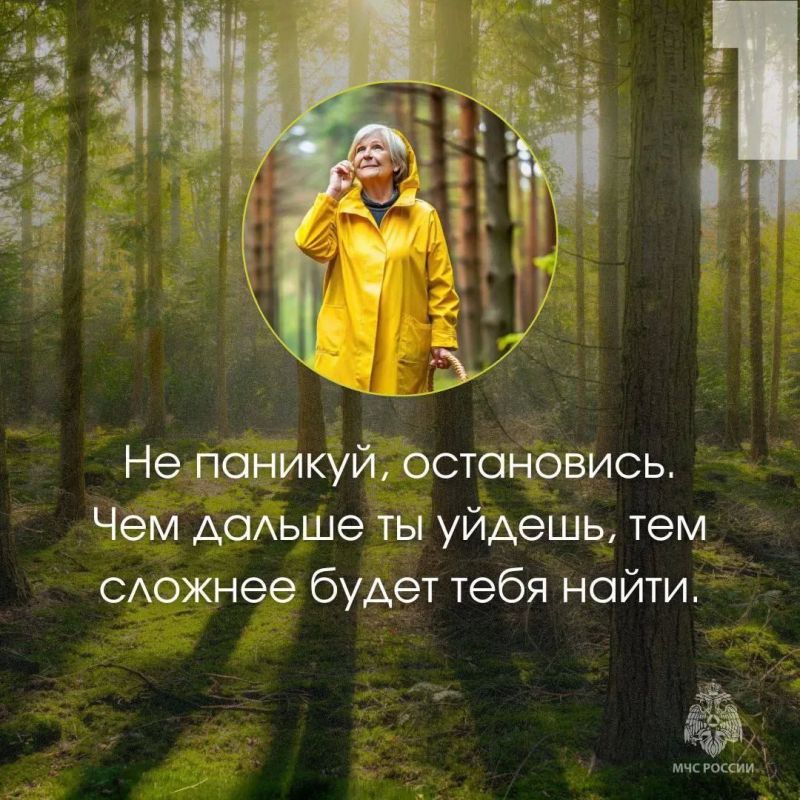 Будь ярким и заметным…. … это про то, как правильно собираться в лес: надень яркую одежду, возьми с собой воду, заряженный телефон, спички, сообщи маршрут родным Будь ярким и заметным…. … это про то, как правильно собираться в лес: надень яркую одежду, возьми с собой воду, заряженный телефон, спички, сообщи маршрут родным