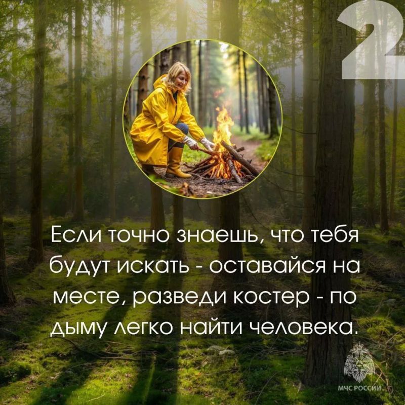 Будь ярким и заметным…. … это про то, как правильно собираться в лес: надень яркую одежду, возьми с собой воду, заряженный телефон, спички, сообщи маршрут родным Будь ярким и заметным…. … это про то, как правильно собираться в лес: надень яркую одежду, возьми с собой воду, заряженный телефон, спички, сообщи маршрут родным