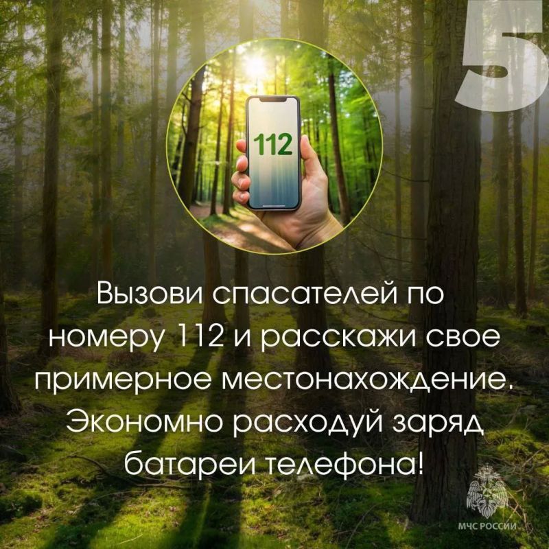 Будь ярким и заметным…. … это про то, как правильно собираться в лес: надень яркую одежду, возьми с собой воду, заряженный телефон, спички, сообщи маршрут родным Будь ярким и заметным…. … это про то, как правильно собираться в лес: надень яркую одежду, возьми с собой воду, заряженный телефон, спички, сообщи маршрут родным