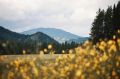 Осеннее настроение в фотообъективе Натальи Стрелецкой