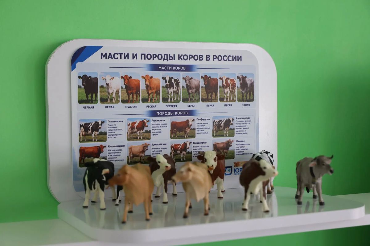 Андрей Турчак: В Яконурской школе сегодня открылся первый в Республике агротехнологический класс для подготовки будущих специалистов сельского хозяйства - ветеринаров и зоотехников Андрей Турчак: В Яконурской школе сегодня открылся первый в Республике агротехнологический класс для подготовки будущих специалистов сельского хозяйства - ветеринаров и зоотехников