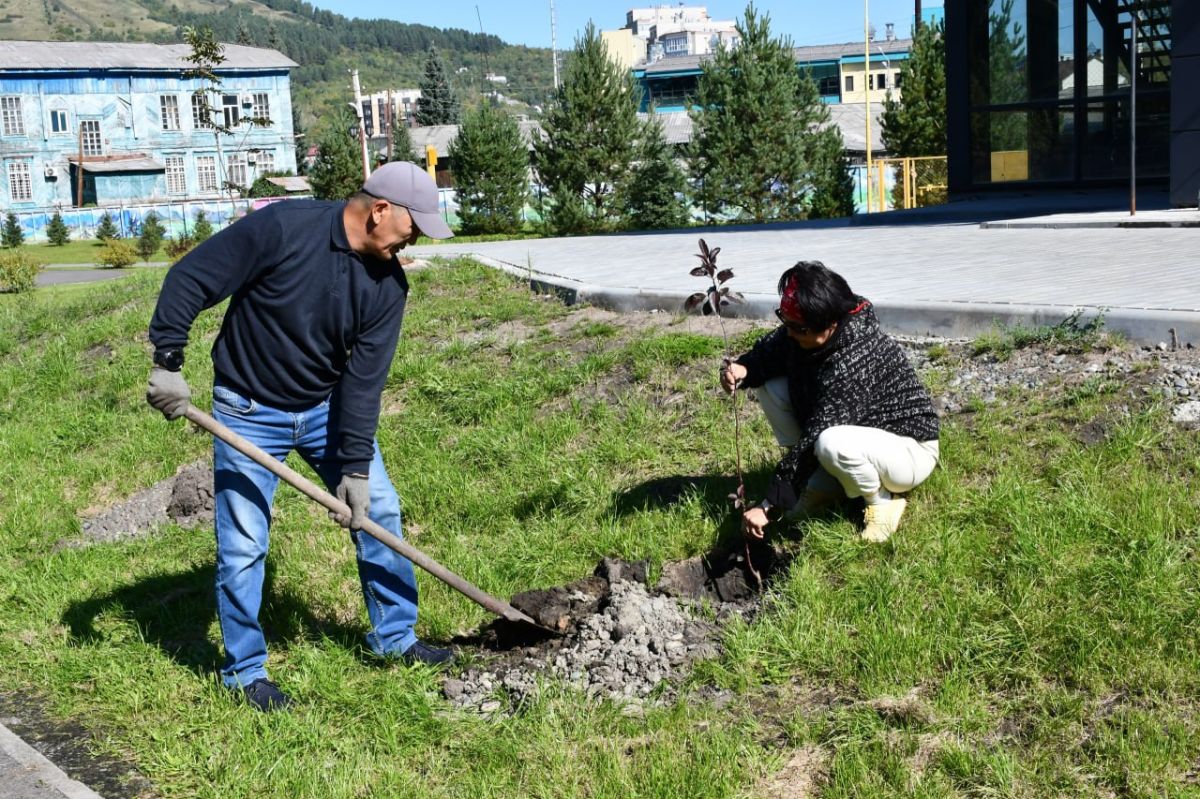 В Горно-Алтайске около Центра культурного развития заложили «Аллею Российского театрального общества» В Горно-Алтайске около Центра культурного развития заложили «Аллею Российского театрального общества»