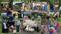 В рамках исполнения августовского плана работы Молодёжного совета Росимущества сотрудники центрального аппарата и территориальных органов агентства посетили приюты для животных