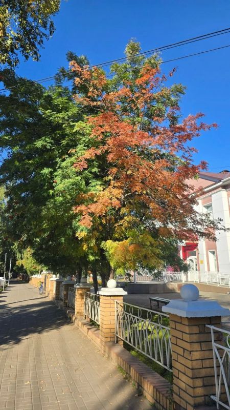 Красота. Фото: Наталья Сладкова