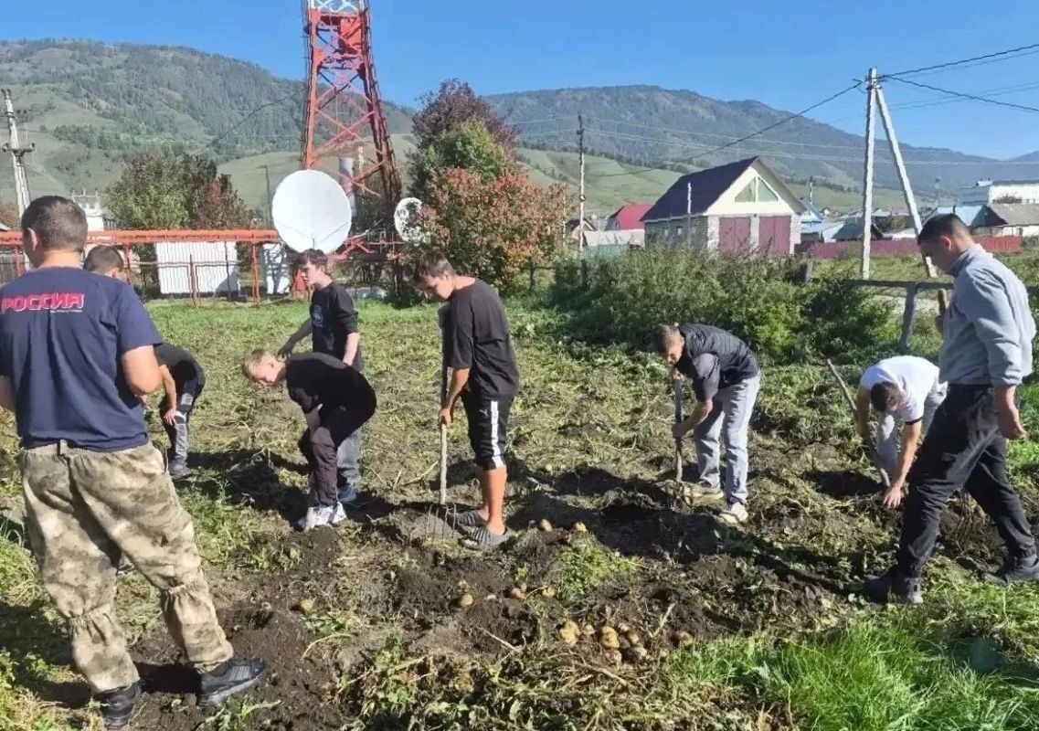 Студенты-волонтеры АПОУ РА "ТОТ" помогли семье погибшего Героя в Усть-Коксе – выкопали картофель, взяв на себя тяжелый физический труд Студенты-волонтеры АПОУ РА "ТОТ" помогли семье погибшего Героя в Усть-Коксе – выкопали картофель, взяв на себя тяжелый физический труд