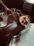 Потери-находки. Утеряна сумка в автобусе в сторону Маймы, 100 какой-то номер ПАЗ, внутри были документы, паспорт, снилс, полис на имя Сандяева Ася, так же банковские карты и зарядник