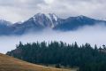 С добрым утром, Алтай!. . Фото: К. Савенко, участник фотоконкурса «Живая природа Алтая»