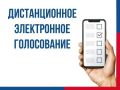 Как проголосовать дистанционно на выборах жителям Республики Алтай?