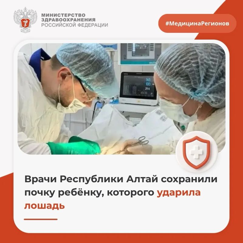 Врачи Республики Алтай сохранили почку ребенку, которого ударила лошадь