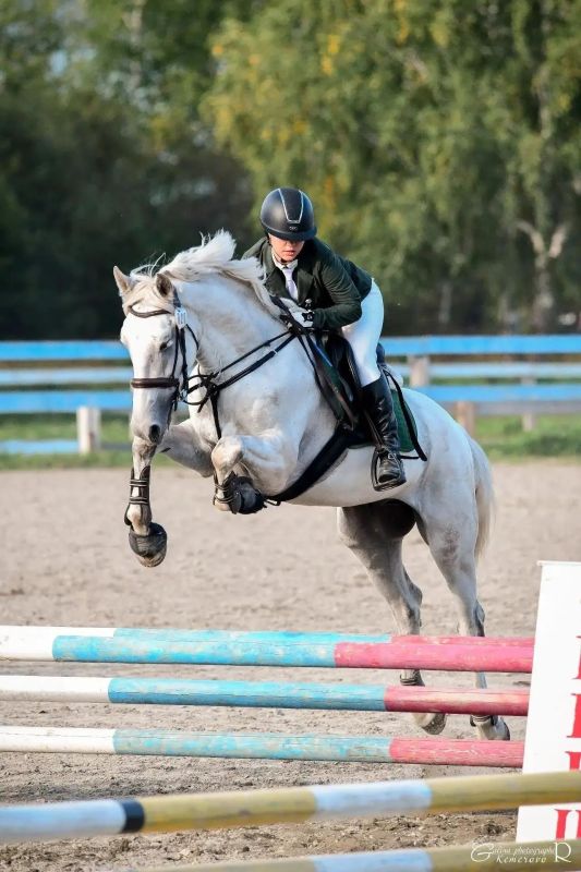 Конный чемпионат в Горно-Алтайске собрал почти сотню спортивных пар Конный чемпионат в Горно-Алтайске собрал почти сотню спортивных пар