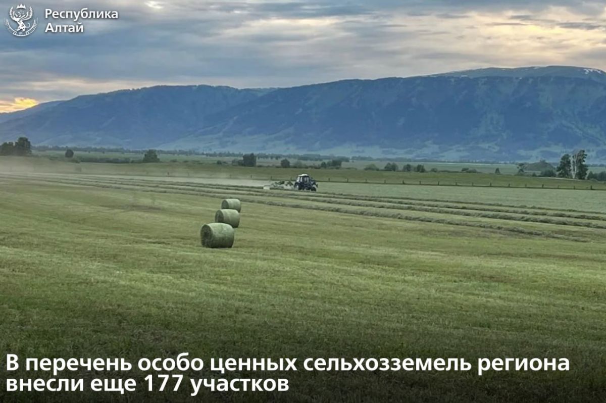 На заседании регионального правительства расширили перечень особо ценных сельскохозяйственных угодий на территории Республики Алтай