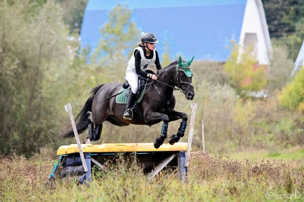 Конный чемпионат в Горно-Алтайске собрал почти сотню спортивных пар