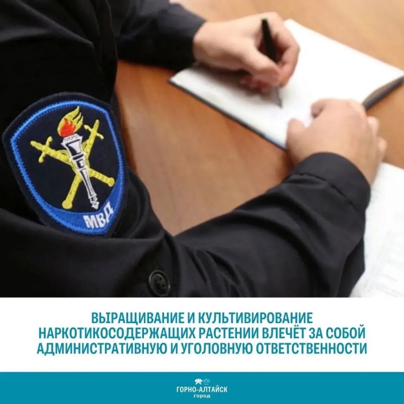 Выращивание и культивирование наркотикосодержащих растений влечёт за собой административную и уголовную ответственности