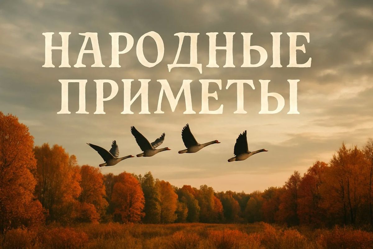 Народные приметы на 28 сентября