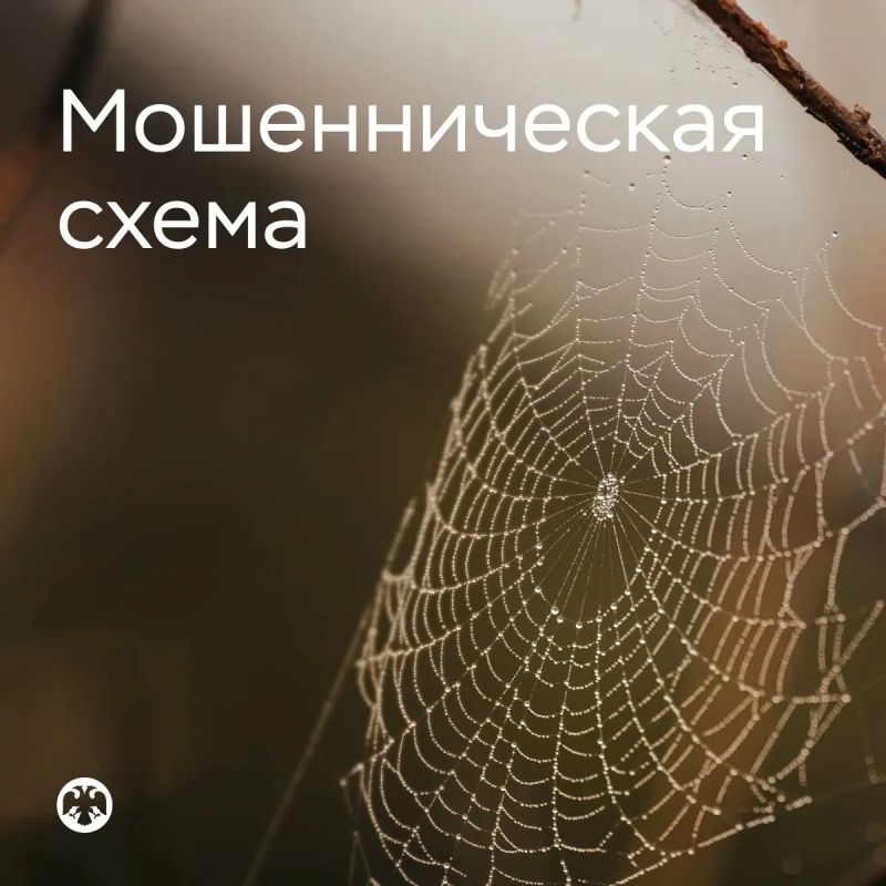 Просят перезвонить «госслужащие» – кладите трубку