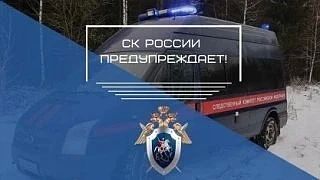 СУ СК России по Республике Алтай напоминает несовершеннолетним об уголовной ответственности за неправомерный оборот средств платежей