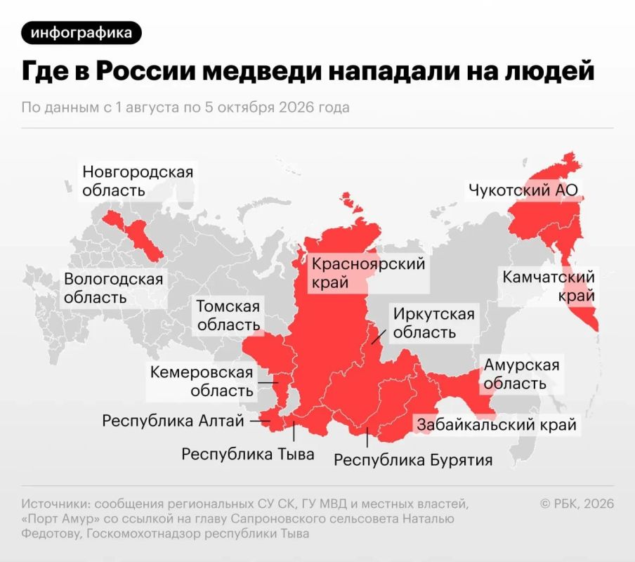 По официальным данным с 1 августа по 5 октября 2026 года, нападения медведей на людей были зафиксированы в 13 российских регионах