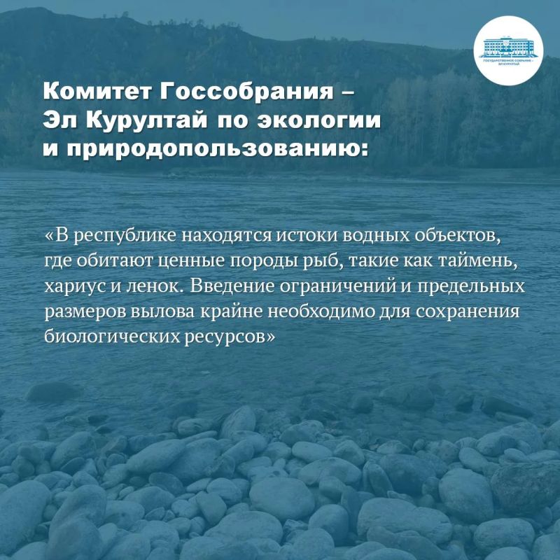 В Республике Алтай действуют ограничения на рыбную ловлю В Республике Алтай действуют ограничения на рыбную ловлю