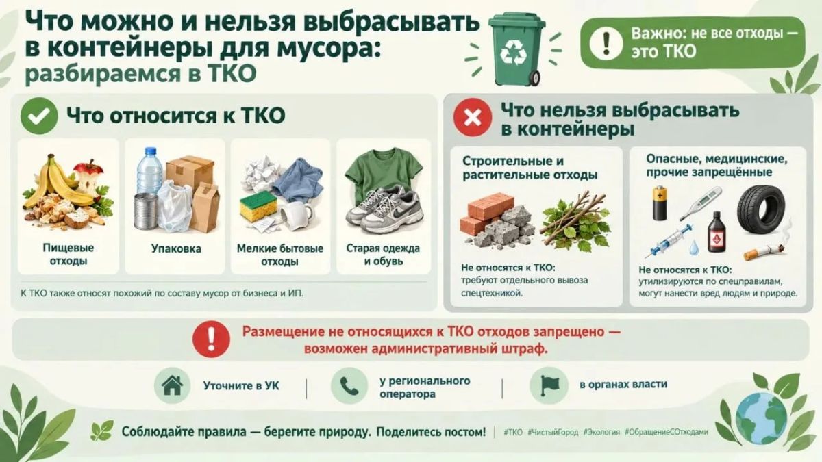 Что можно и нельзя выбрасывать в контейнеры для мусора: разбираемся в ТКО